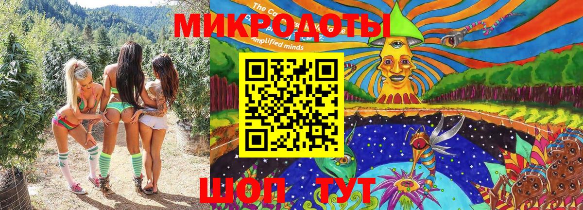 Галлюциногенные грибы прущие грибы Конаково